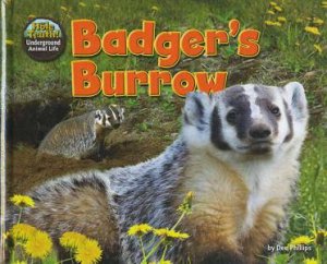 The Hole Truth: Badger's Burrow by Dee Phillips