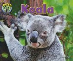 Treed Koala