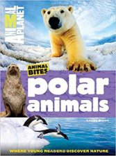Animal Planet Animal Bites Polar Animals