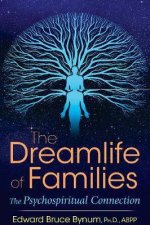 The Dreamlife Of Families