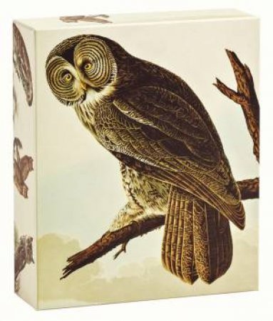 Audubon Owls: QuickNotes by John James Audubon