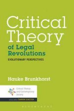 Critical Theory of Legal Revolutions