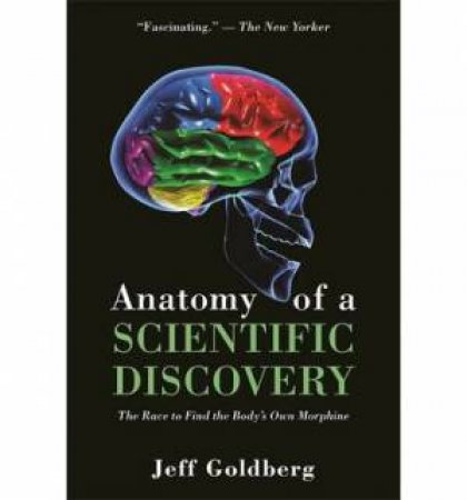 Anatomy of a Scientific Discovery: The Race to Find the Body's Own Morphine by Jeff Goldberg