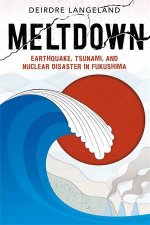 Meltdown Earthquake Tsunami And Nuclear Disaster In Fukushima
