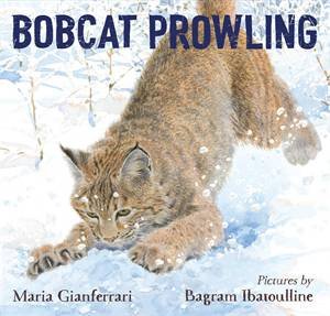 Bobcat Prowling by Maria Gianferrari & Bagram Ibatoulline