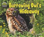 The Hole Truth  Underground Animal Life Burrowing Owls Hideaway