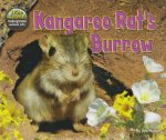 The Hole Truth  Underground Animal Life Kangaroo Rats Burrow