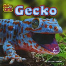 Weird But Cute Gecko