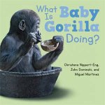 What Is Baby Gorilla Doing