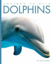 Amazing Animals Dolphins