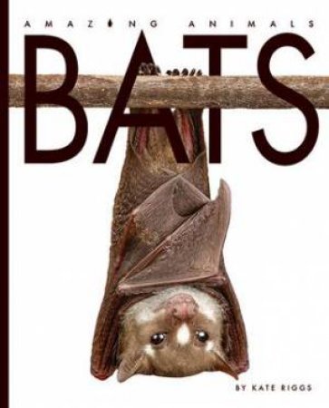 Amazing Animals: Bats by Kate Riggs
