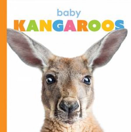 Baby Kangaroos by Kate Riggs
