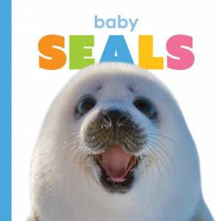 Baby Seals by Kate Riggs