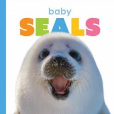 Baby Seals