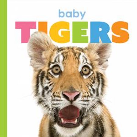 Baby Tigers by Kate Riggs