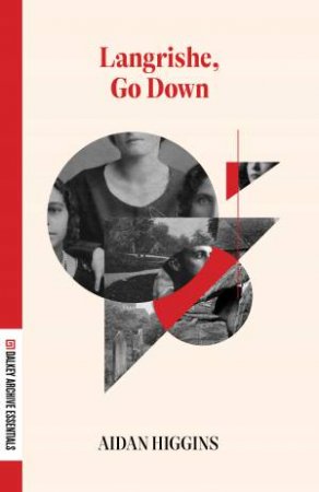 Langrishe, Go Down by Aidan Higgins