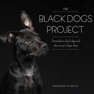 Black Dog Project by Fred Levy