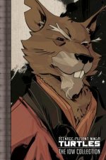 Teenage Mutant Ninja Turtles The IDW Collection Volume 2
