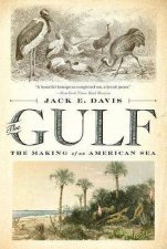 The Gulf The Making Of An American Sea