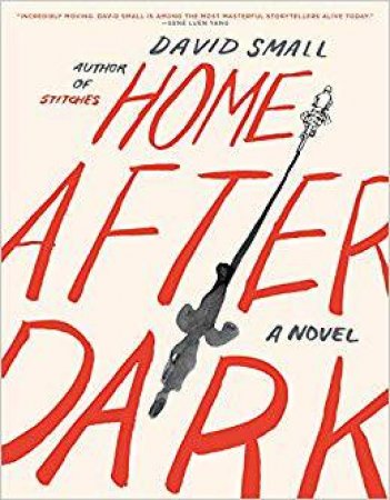 Home After Dark by David Small