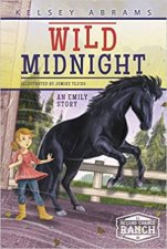 Wild Midnight An Emily Story