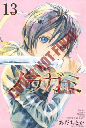 Noragami Stray: God 13 by Adachitoka