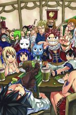 Fairy Tail Manga Box Set 1