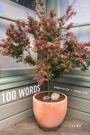 100 Words - Poems by Various