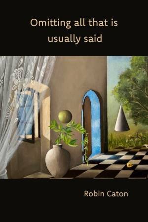 Omitting All That Is Usually Said by Robin Caton