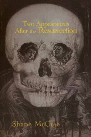 Two Appearances After the Resurrection by Shane McCrae