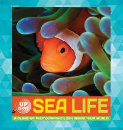 Sea Life by Heidi Fiedler