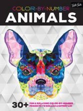 Color by Number Animals