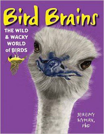 Bird Brains by Jeremy Hyman & Haude Levesque