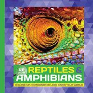 Reptiles And Amphibians by Heidi Fiedler