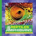Reptiles And Amphibians