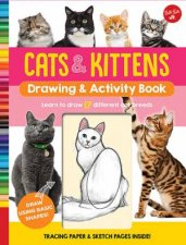 Cats  Kittens Drawing  Activity Book