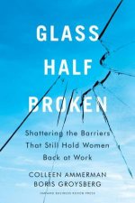 Glass HalfBroken