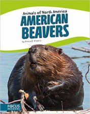 Animals of North America American Beavers