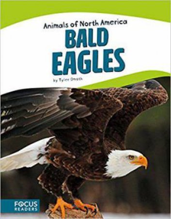 Animals of North America: Bald Eagles by TYLER OMOTH
