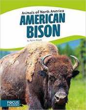 Animals of North America American Bison