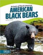 Animals of North America American Black Bears