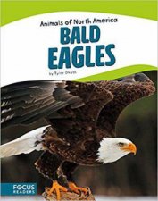 Animals of North America Bald Eagles