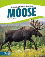 Animals of North America Moose
