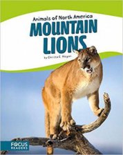 Animals of North America Mountain Lions