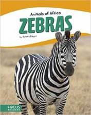 Animals Of Africa Zebras