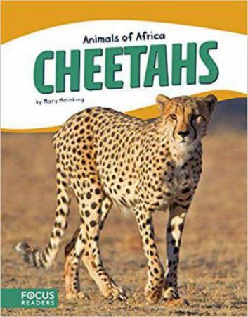 Animals of Africa: Cheetahs by MARY MEINKING