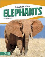 Animals of Africa Elephants