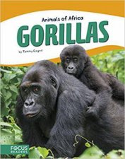 Animals of Africa Gorillas