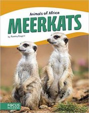 Animals of Africa Meerkats