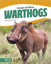 Animals of Africa Warthogs
